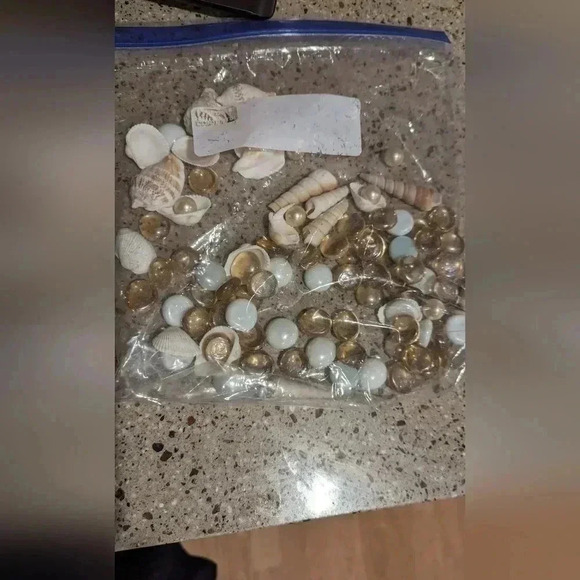 Seashell Vase Filler Decoration (New) - Picture 2 of 2